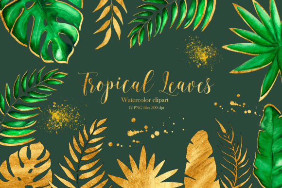 Bring the Tropics to Life with Hand-Painted Clipart