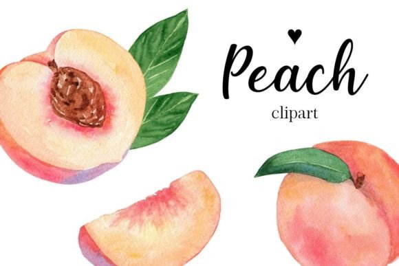 Evaluating Peach Watercolor Clipart for Professional and DIY Design Projects