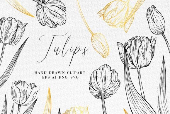 Mastering the Elegance of Tulip Line Art: A Guide to Botanical SVGs and Digital Craft