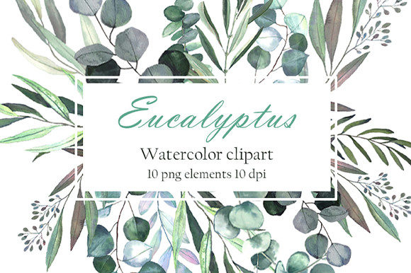 Unlocking Creative Potential: The Art and Utility of Hand-Painted Eucalyptus Watercolor Clipart
